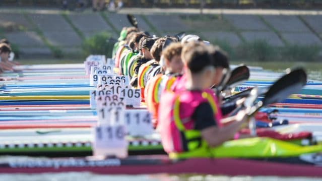 Jóvenes promesas del piragüismo extremeño durante una regata en el Guadalquivir