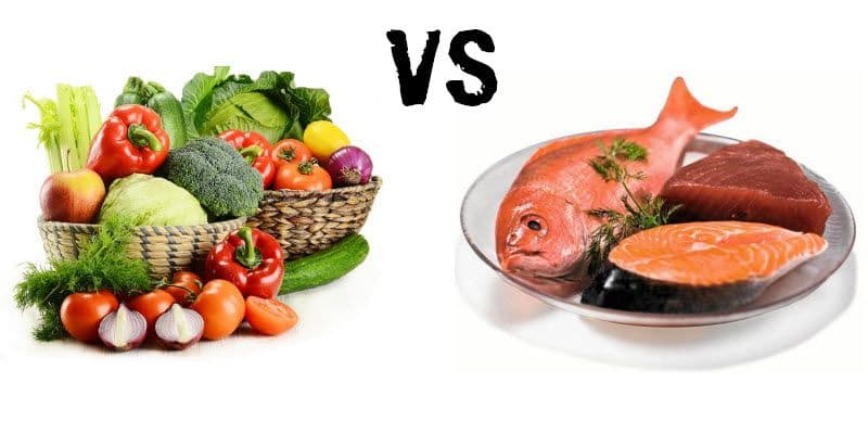 Proteína animal vs vegetal: ¿cuál es mejor para ganar músculo y cuidar la salud?